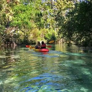 Meet your Posher, Lizz